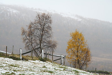 Image showing Autumn