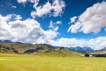 Image showing landscape New Zealand north island