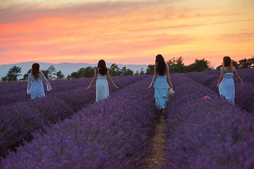 Image showing group of famales have fun in lavender flower field