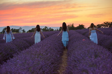 Image showing group of famales have fun in lavender flower field