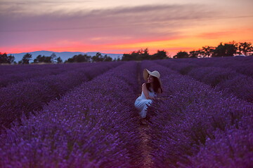 Image showing woman portrait in lavender flower fiel