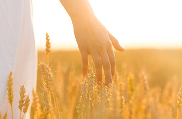 Image showing hand touching wheat spickelets on cereal field