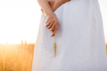 Image showing woman on cereal field holding ripe wheat spickelet