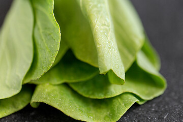 Image showing close up of bok choy cabbage on slate background