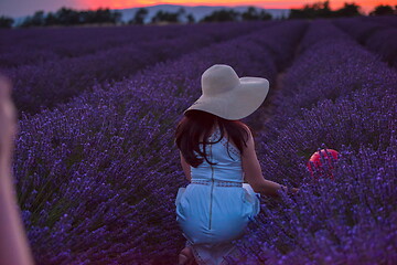 Image showing woman portrait in lavender flower fiel