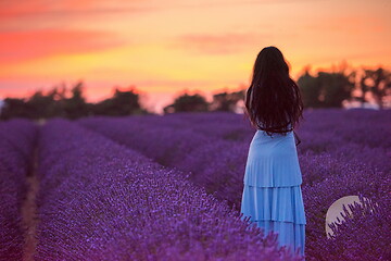 Image showing woman portrait in lavender flower fiel