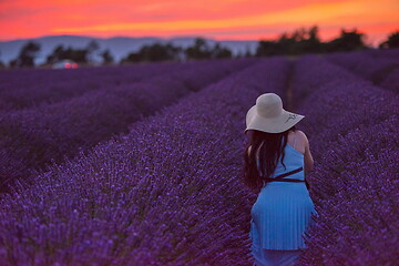 Image showing woman portrait in lavender flower fiel