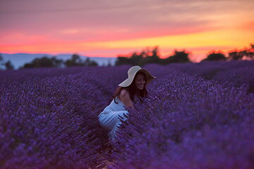 Image showing woman portrait in lavender flower fiel