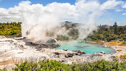 Image showing Geyser in New Zealand Rotorua