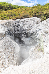 Image showing geothermal activity at Rotorua in New Zealand