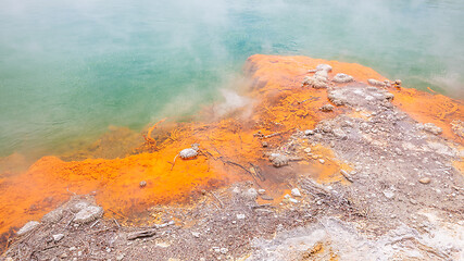 Image showing hot sparkling lake in New Zealand