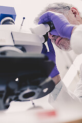 Image showing Senior scientist microscoping in lab.