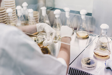 Image showing Female scientist working with laminar flow at corona virus vaccine development laboratory research facility.