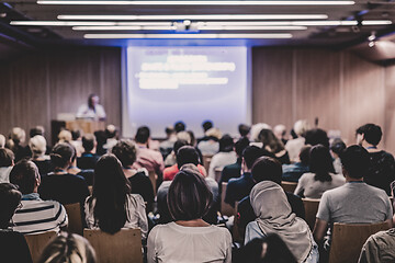 Image showing Business speaker giving a talk at business conference event.