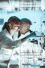 Image showing Health care researchers working in scientific laboratory.