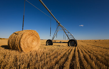 Image showing Harvested