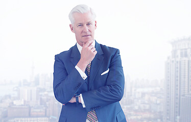 Image showing Portrait of senior businessman