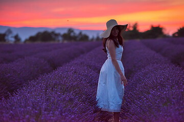 Image showing woman portrait in lavender flower fiel