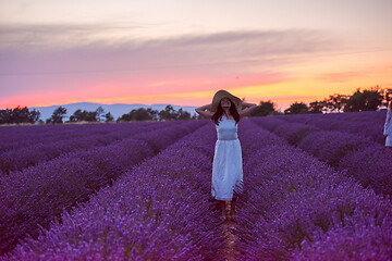 Image showing woman portrait in lavender flower fiel