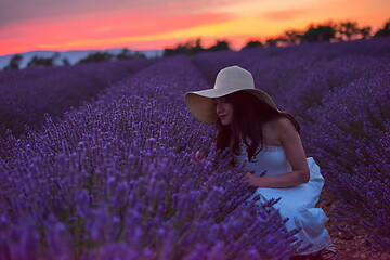 Image showing woman portrait in lavender flower fiel