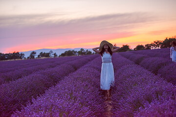 Image showing woman portrait in lavender flower fiel