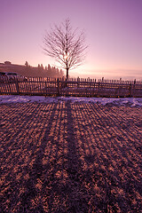 Image showing winter landscape scenic  with lonely tree