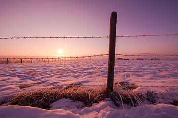 Image showing winter landscape scenic  with lonely tree