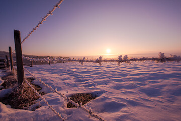 Image showing winter landscape scenic  with lonely tree