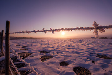 Image showing barbed wire fence in winter