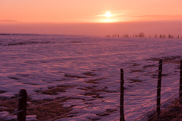 Image showing winter landscape scenic  with lonely tree