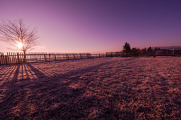 Image showing winter landscape scenic  with lonely tree