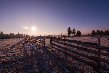 Image showing winter landscape scenic  with lonely tree