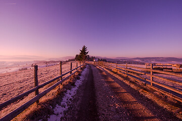 Image showing winter landscape scenic  with lonely tree