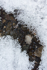 Image showing winter creek ice