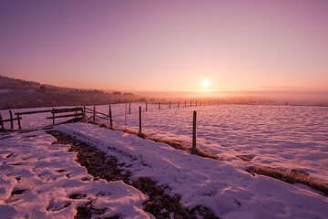 Image showing winter landscape scenic  with lonely tree