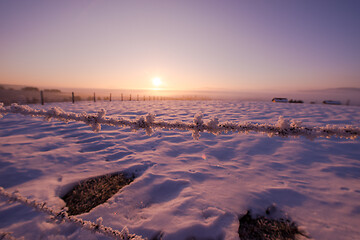 Image showing barbed wire fence in winter