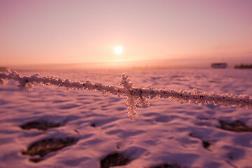 Image showing barbed wire fence in winter