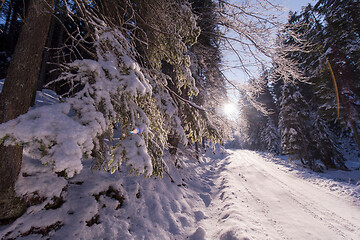 Image showing winter road