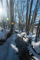 Image showing winter creek ice