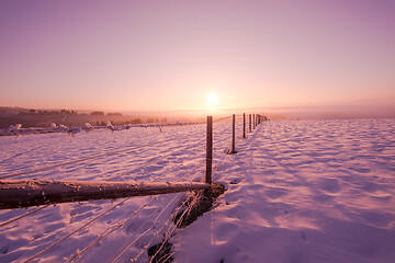 Image showing winter landscape scenic  with lonely tree