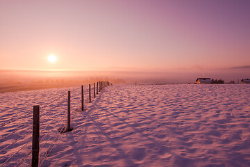 Image showing winter landscape scenic  with lonely tree