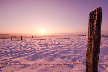 Image showing winter landscape scenic  with lonely tree