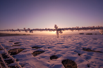 Image showing barbed wire fence in winter