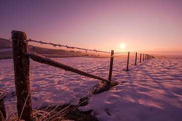 Image showing winter landscape scenic  with lonely tree