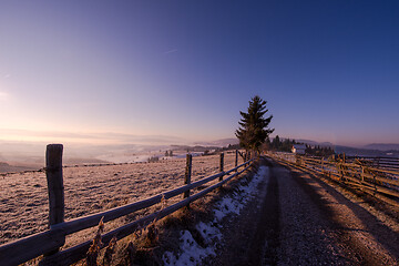 Image showing winter landscape scenic  with lonely tree