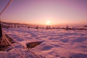 Image showing barbed wire fence in winter