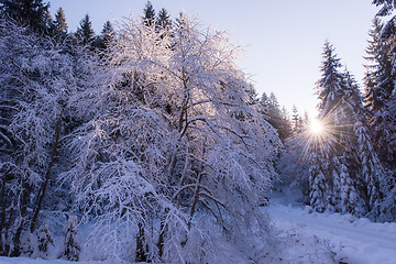 Image showing winter road