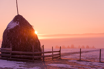 Image showing winter landscape scenic  with lonely tree