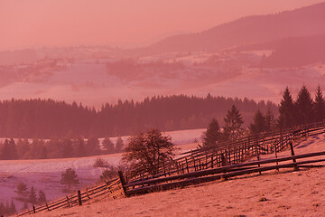 Image showing winter landscape scenic  with lonely tree