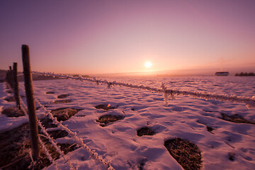 Image showing barbed wire fence in winter